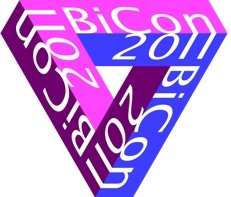 BiCon 2011: making your mind up